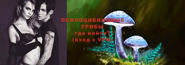 героин Вяземский